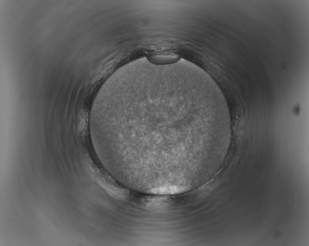 X0000114610132200912010946