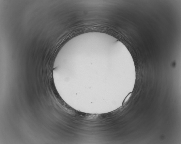 X0000114610136200912010946