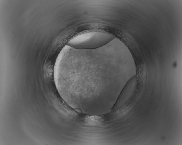 X0000114610137200912010946