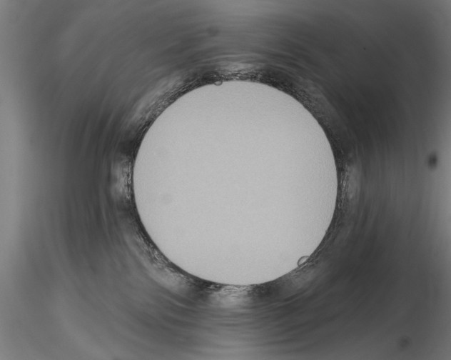 X0000114610138200912010946