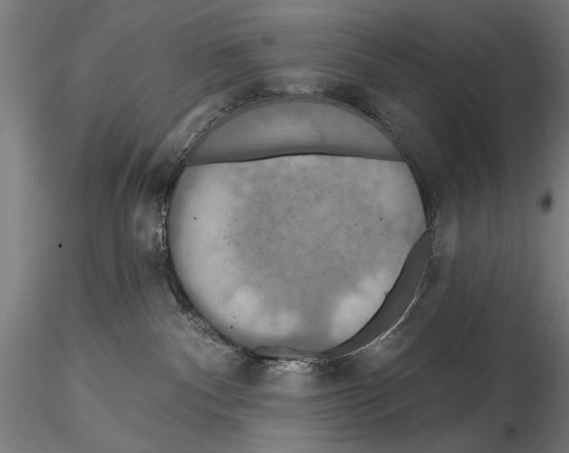 X0000114610140200912010946