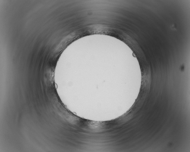 X0000114610142200912010946