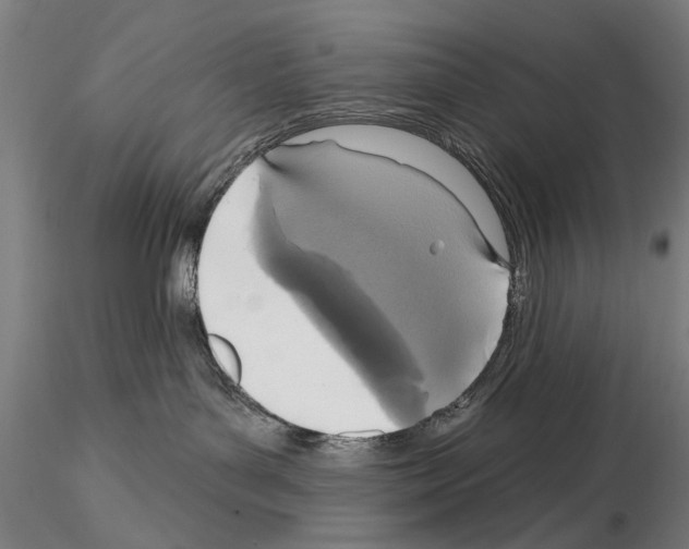 X0000114610143200912010946