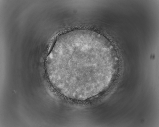 X0000114610144200912010946