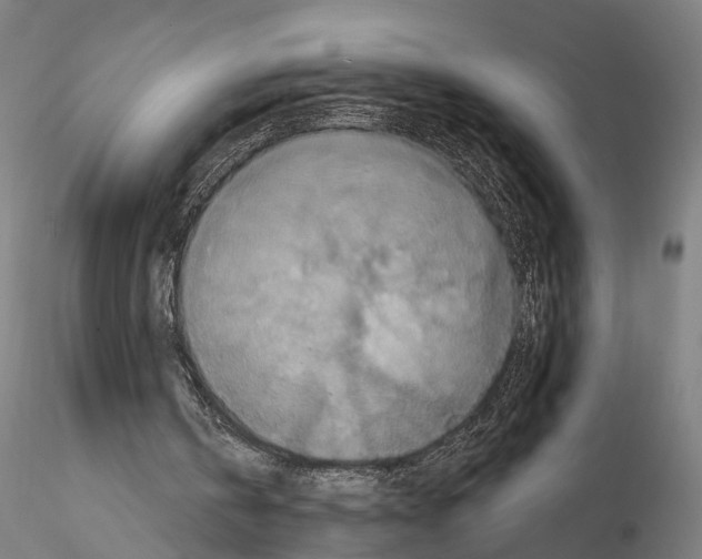 X0000114610146200912010945