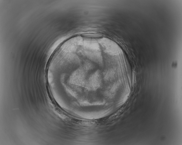 X0000114610147200912010945