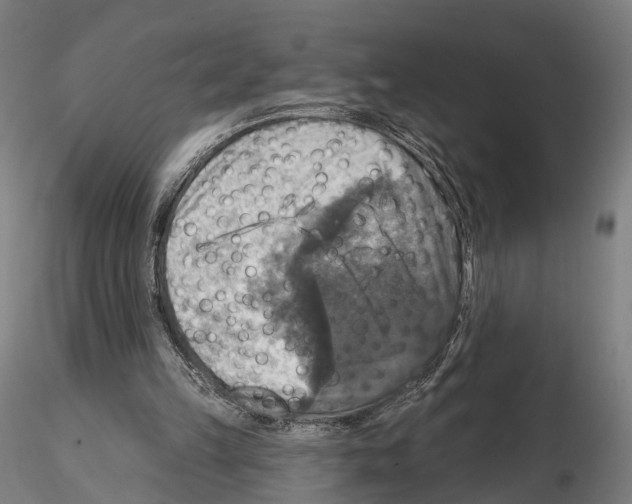 X0000114610149200912010945