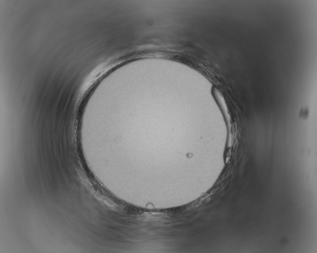 X0000114610150200912010945