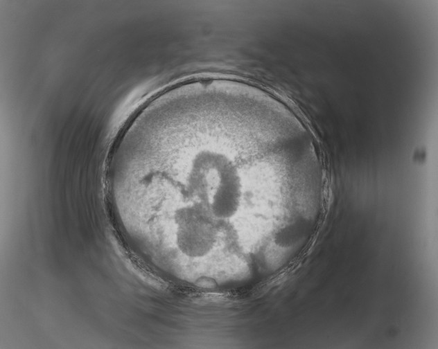 X0000114610151200912010945