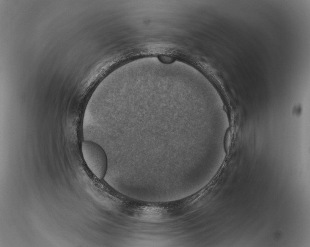 X0000114610154200912010945