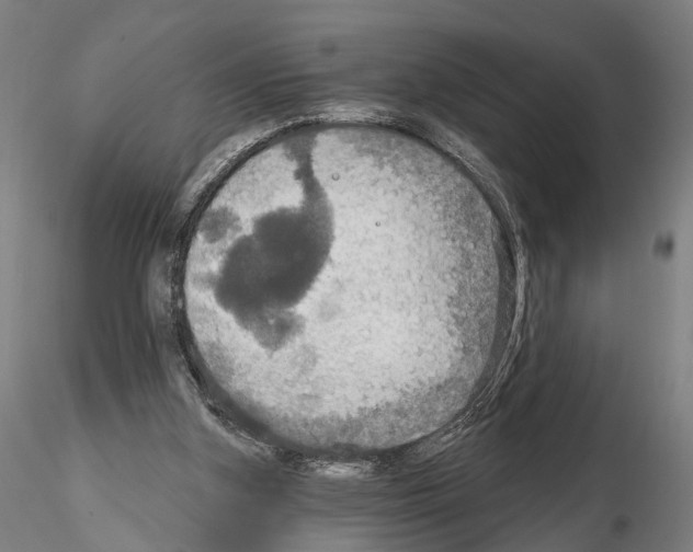 X0000114610155200912010945