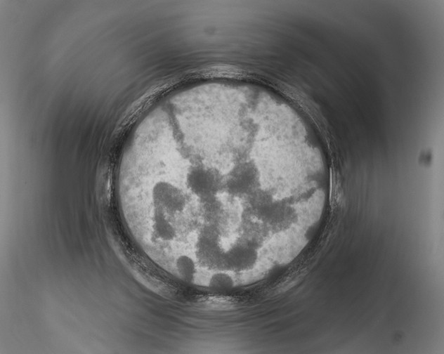 X0000114610157200912010946