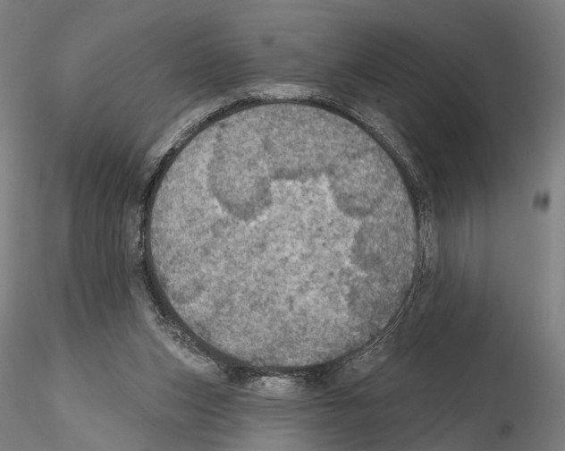 X0000114610159200912010946