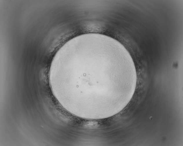 X0000114610162200912010946