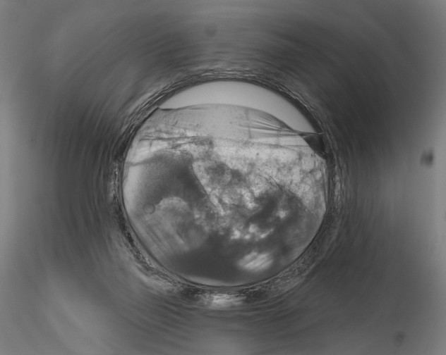 X0000114610165200912010946