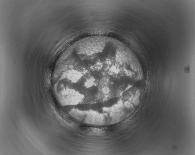 X0000114610166200912010946