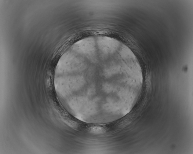 X0000114610169200912010946