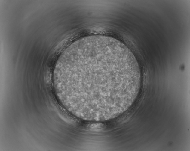 X0000114610173200912010946