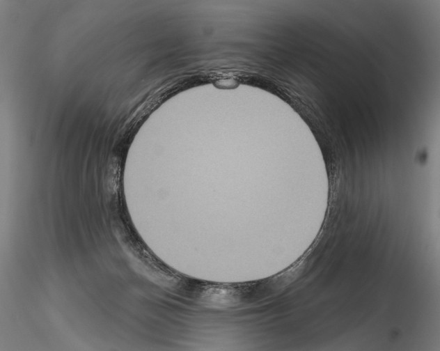 X0000114610174200912010946