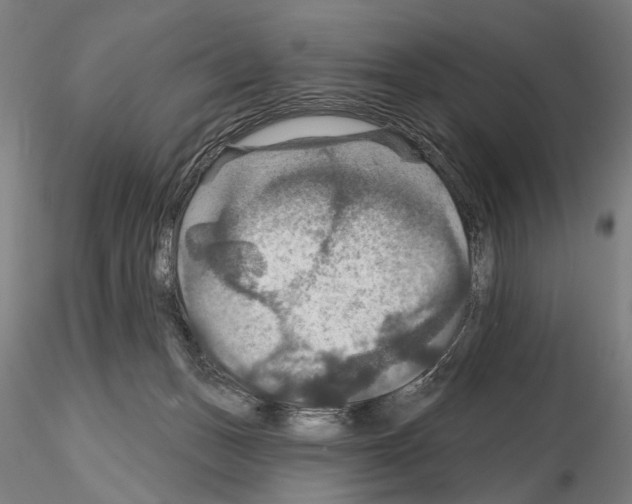 X0000114610175200912010946