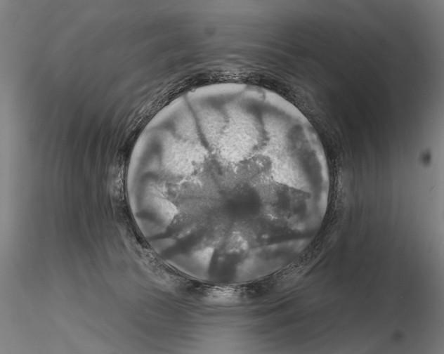 X0000114610177200912010946