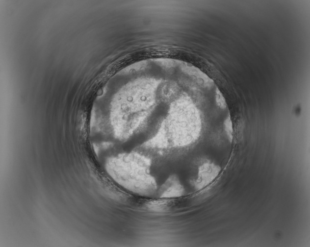 X0000114610178200912010946