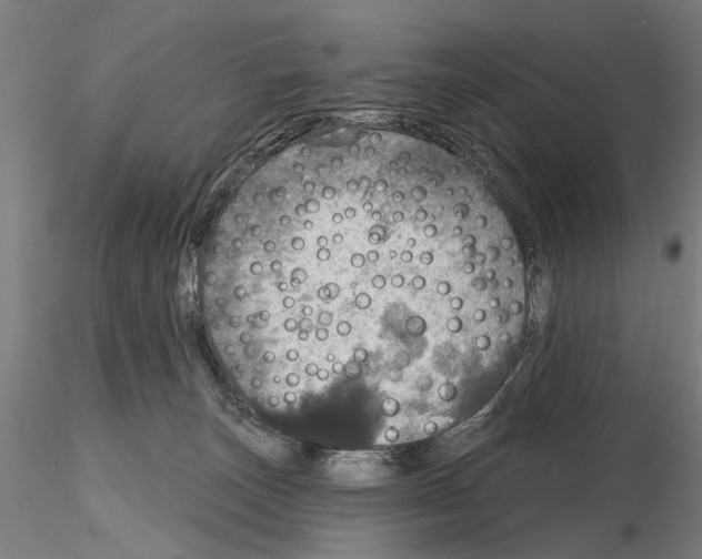 X0000114610179200912010946