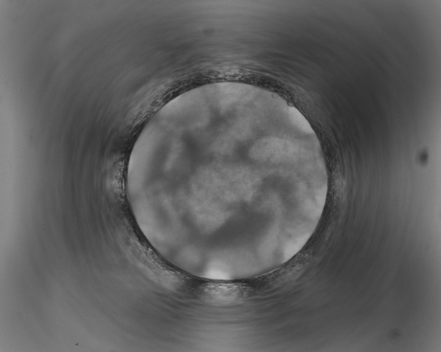 X0000114610181200912010946