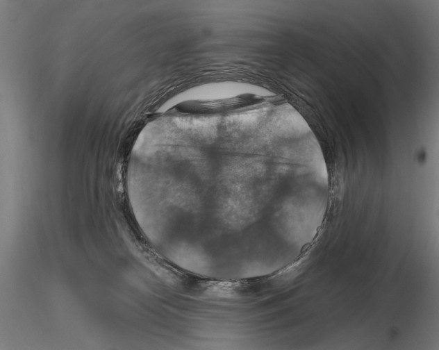 X0000114610182200912010946