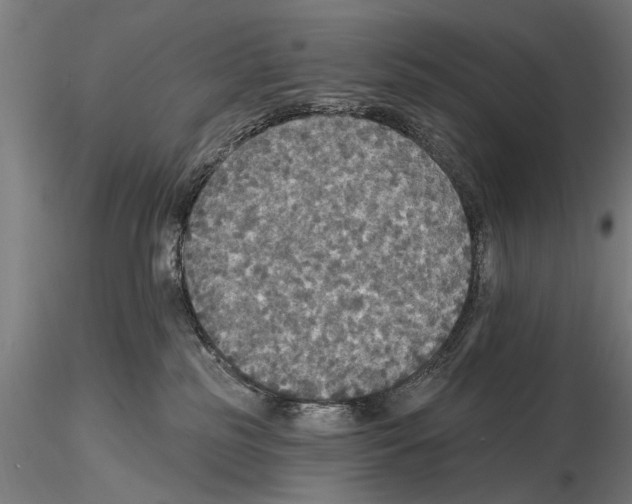 X0000114610185200912010946