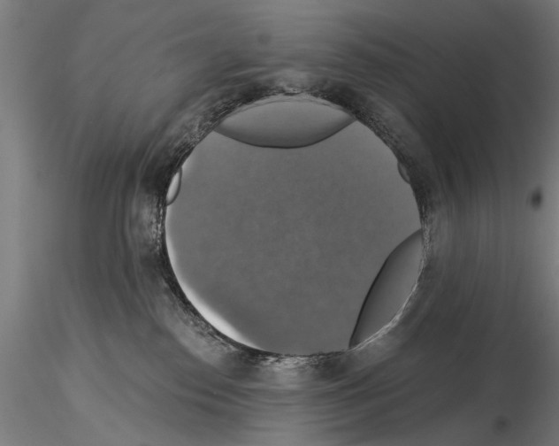 X0000114610186200912010946