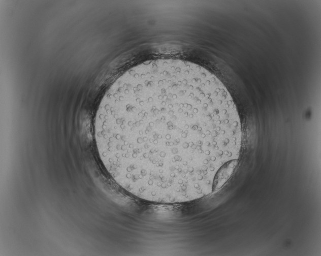 X0000114610187200912010946