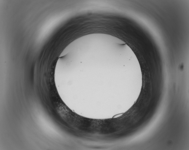 X0000114610190200912010946