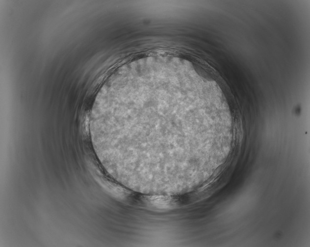 X0000114610191200912010946