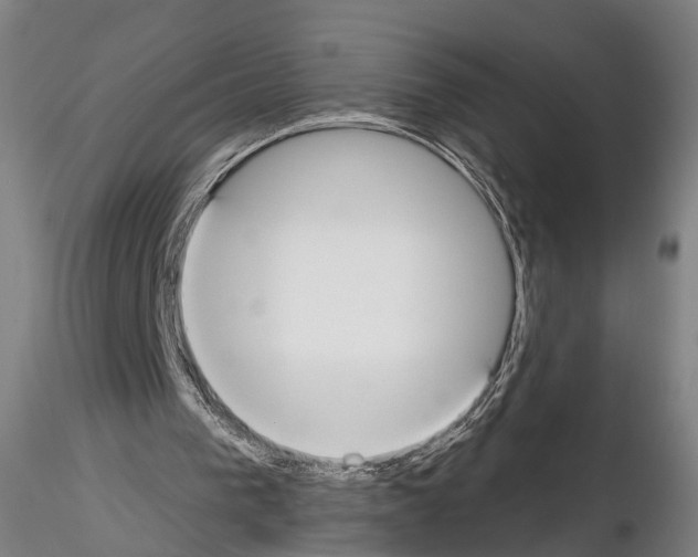 X0000114610193200912010945