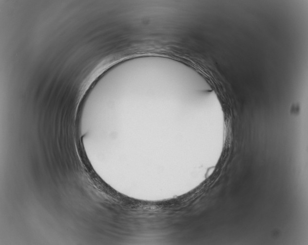 X0000114610195200912010945