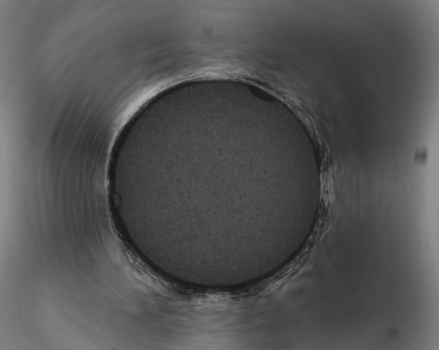 X0000114610196200912010945