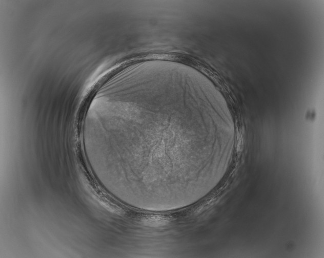 X0000114610198200912010945