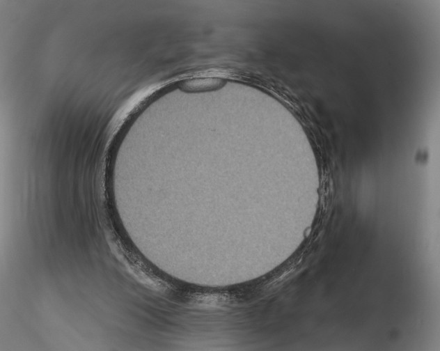 X0000114610200200912010945