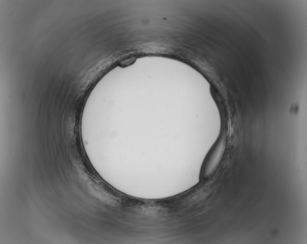 X0000114610201200912010945