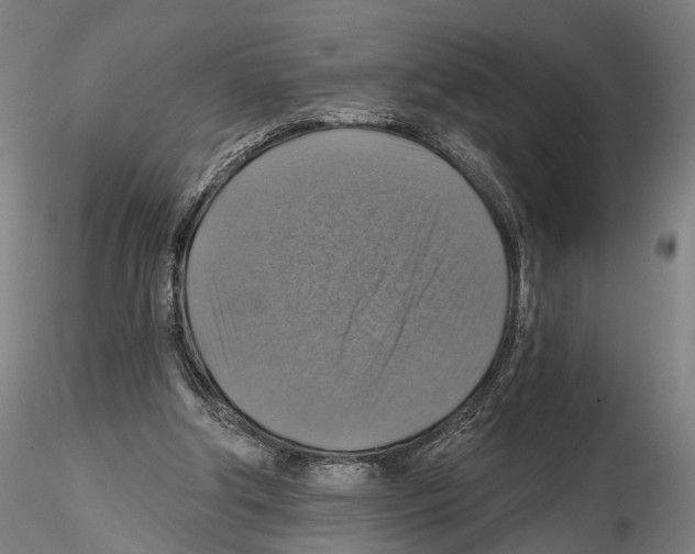 X0000114610202200912010945