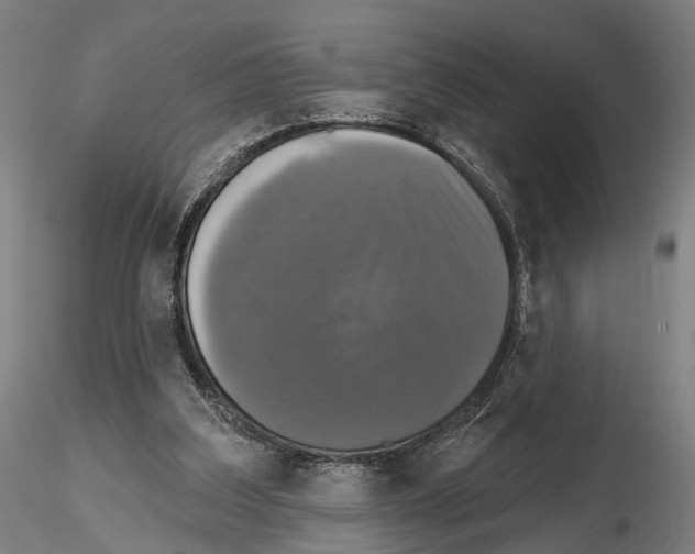 X0000114610203200912010945