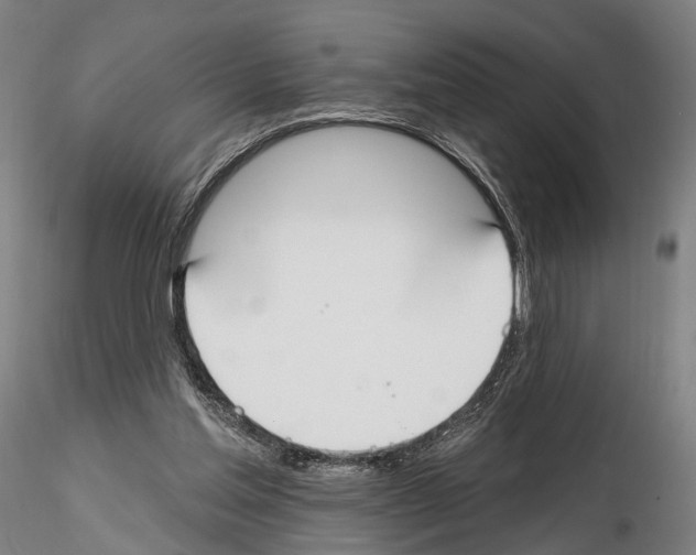 X0000114610205200912010945