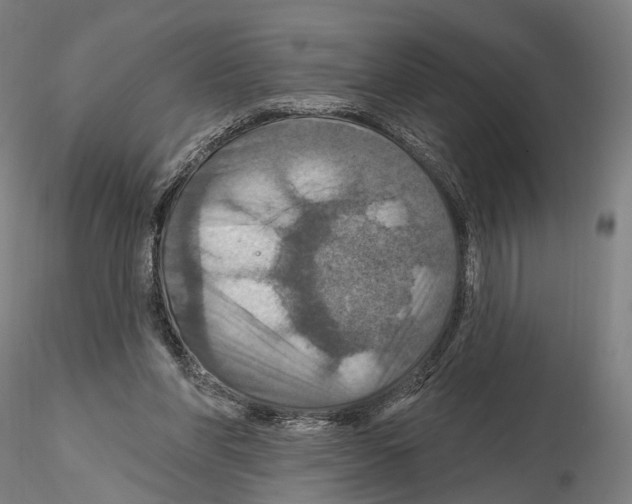 X0000114610206200912010945