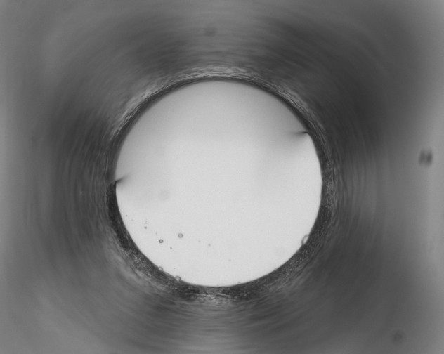 X0000114610207200912010945