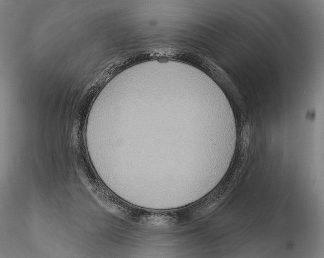 X0000114610209200912010945