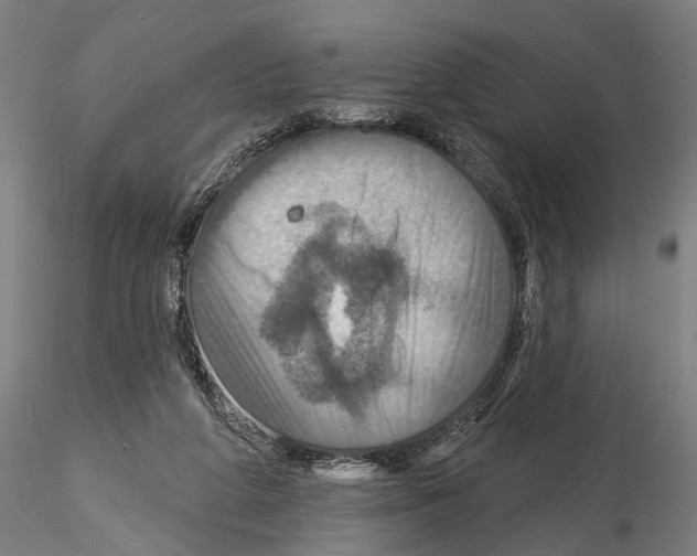 X0000114610210200912010945