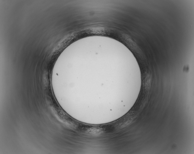 X0000114610213200912010945