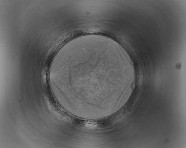 X0000114610214200912010945