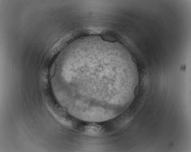 X0000114610215200912010945